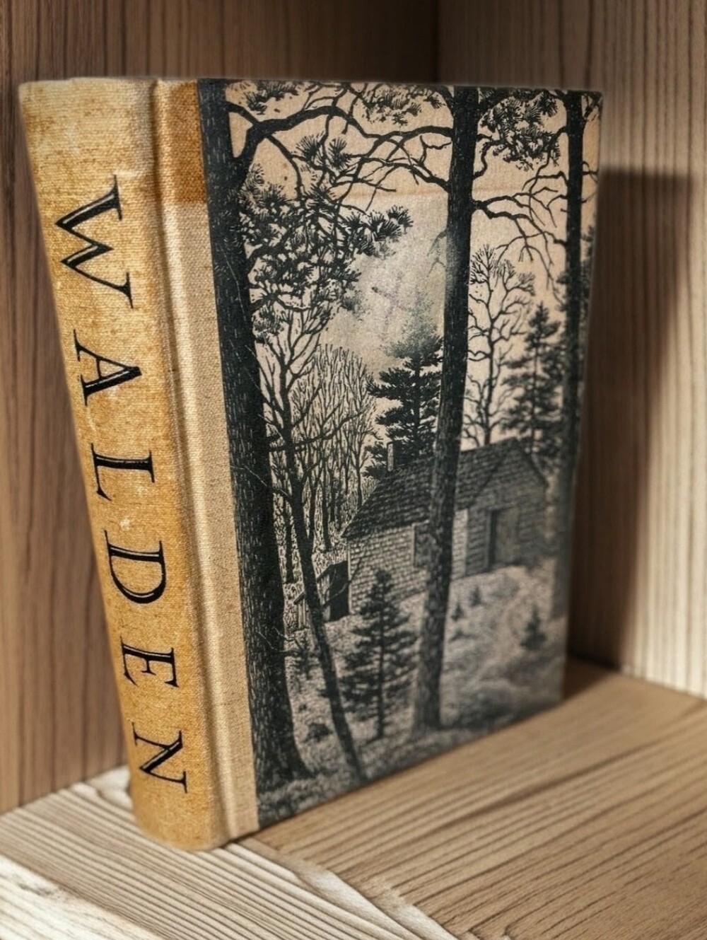 Henry David Thoreau WALDEN OR LIFE IN THE WOODS 1st Edition 1st Printing Rare